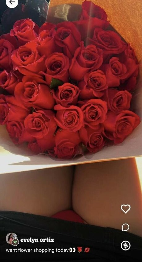 Evelyn Ortiz star nude archive