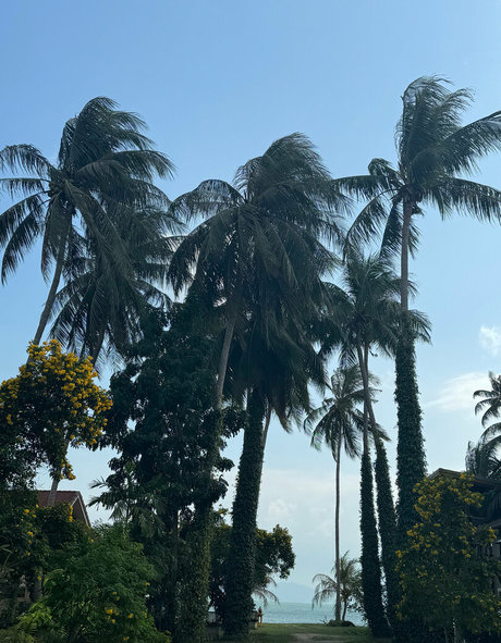 iamvirtuallady star hd pics