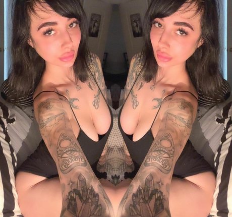 nova 6 high quality star galleries