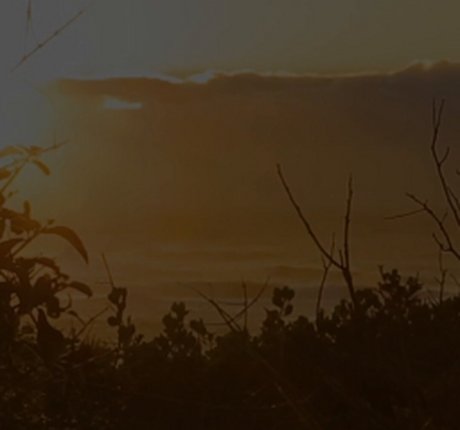 Ava Little exclusive star pictures