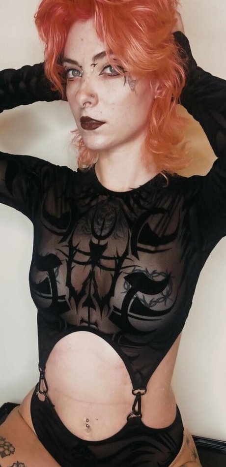 Avalon Valore top star images