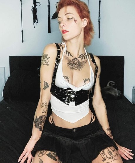 Avalon Valore model images