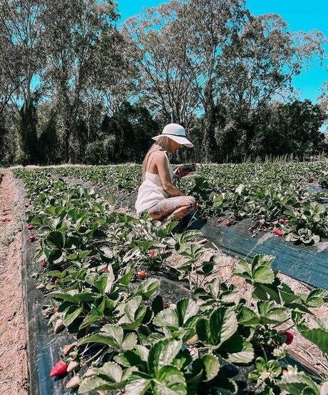 Billie Loves star high quality photo