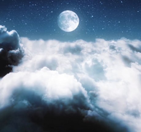 Toree nice model picture