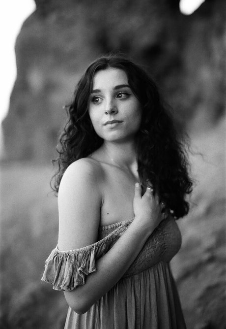 forest fox Photo Gallery