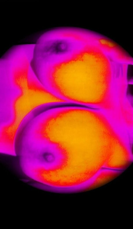 Jaqui Flores free pornstar galleries