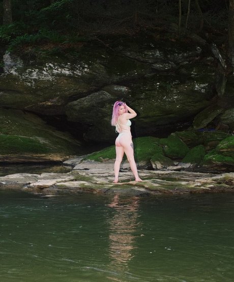 shirley curly_ free star image