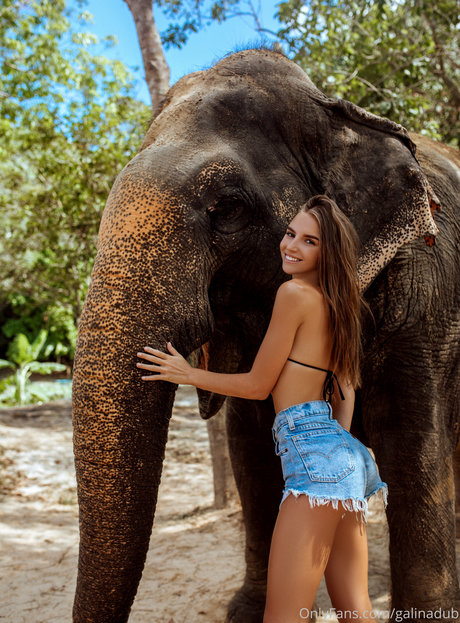 thick asian onlyfans xxx pic