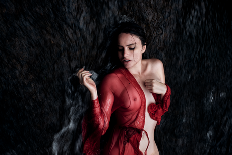 Rotten Queen Profile Photo