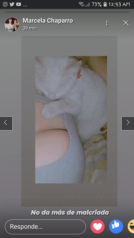 Marcela Chaparro_ naked model gallery