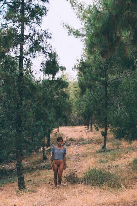 Tohar Frie star adult pictures