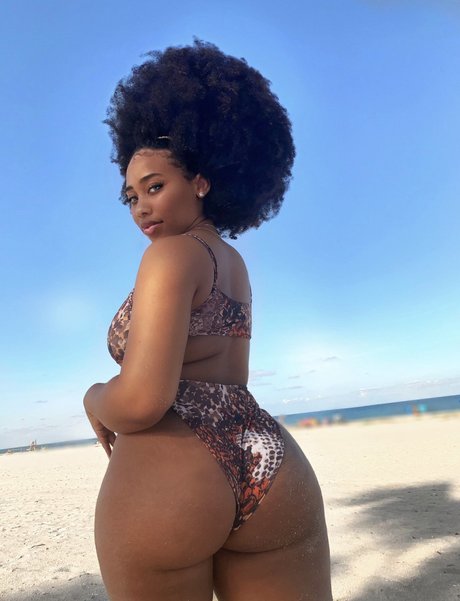 Chaotic Allure star free image