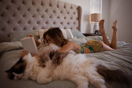 Knights Ry pornstar hd gallery