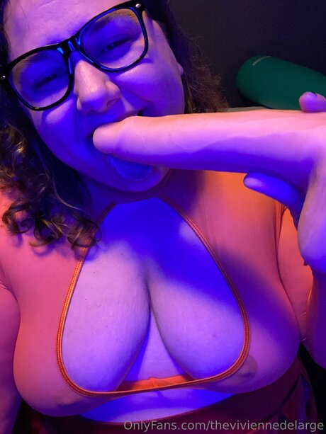 Theviviennedelarge model top img