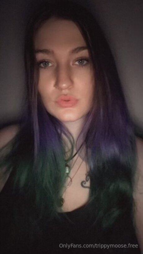 Trippymoose Free star pretty pics