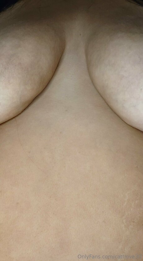 Cattlove30 star hd images