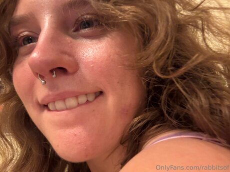 Rabbitsof star high quality photos