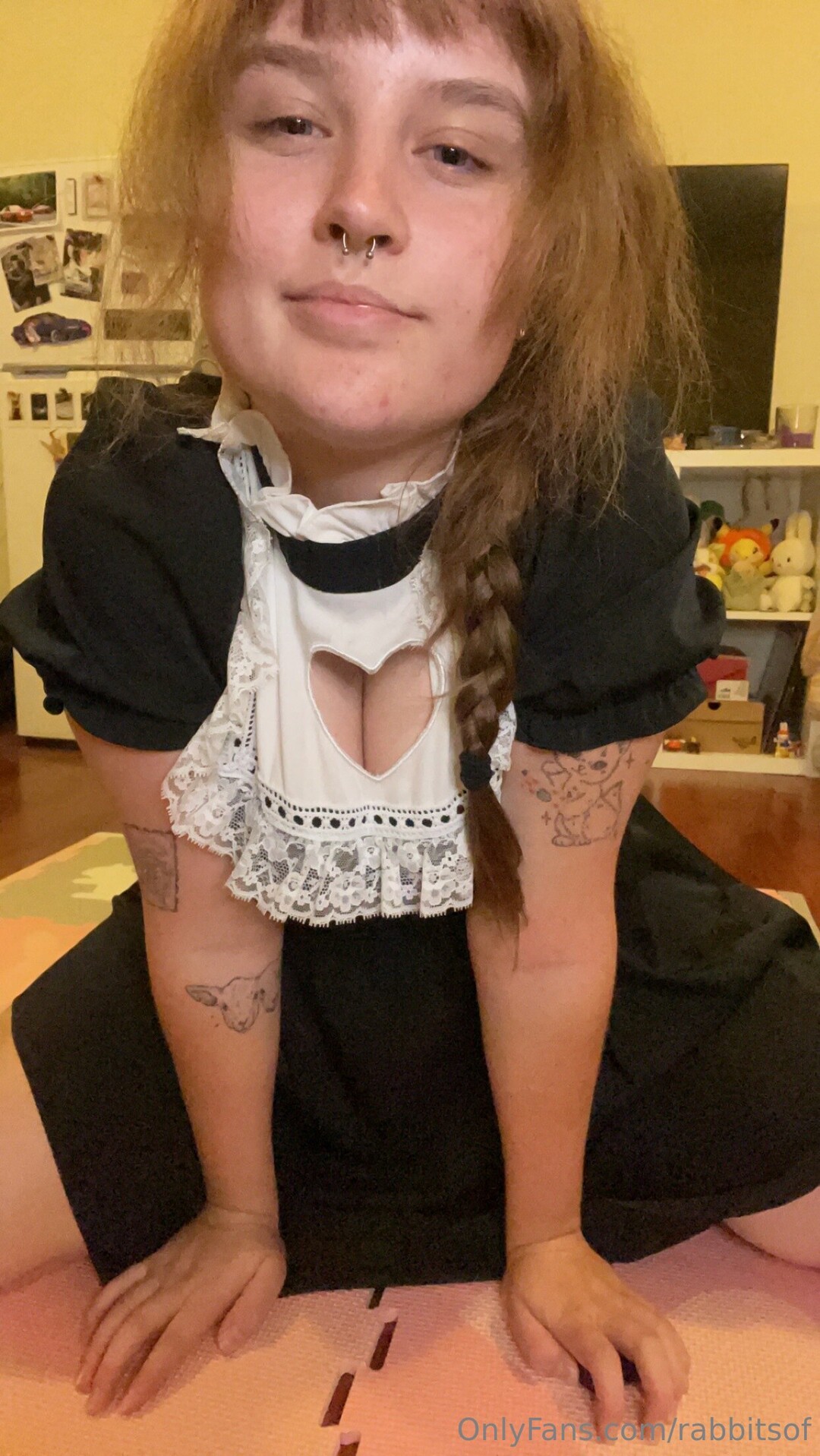 Rabbitsof sexy star pic