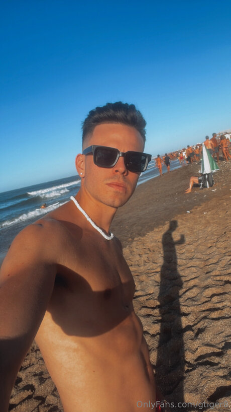 Gtiger8 top model img