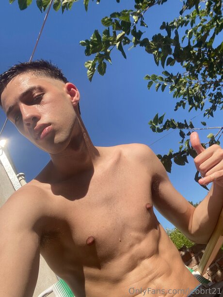 Leobrt21 star art gallery