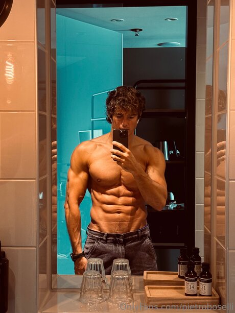 Pietroboselli model best img