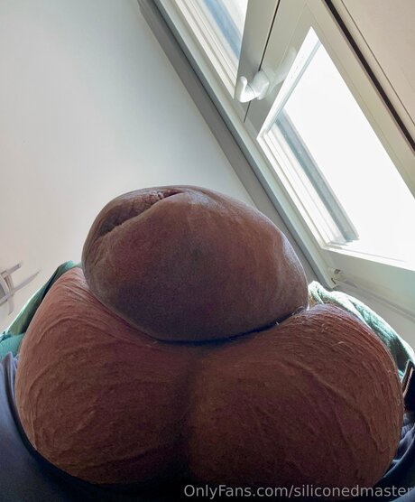 Siliconedmaster star images