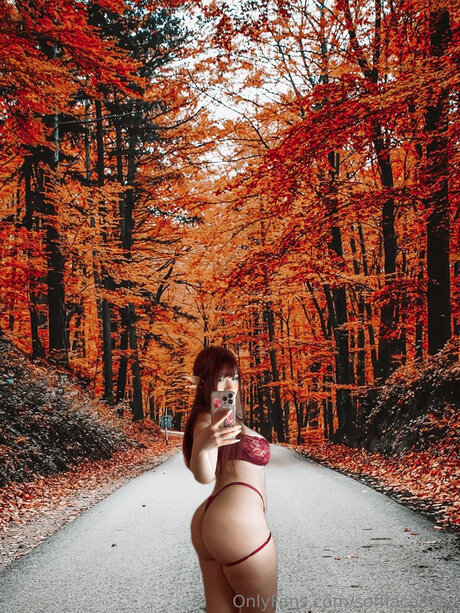 Soffiacastillo beautiful star galleries