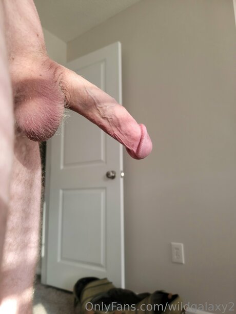 Wildgalaxy2 high quality star picture