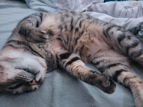 Daisanokensha model pornographic photo