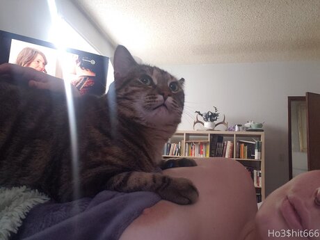 Hoeshit666 adult actress gallery