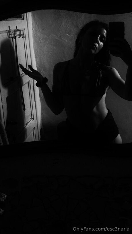 Esc3naria Photo Gallery