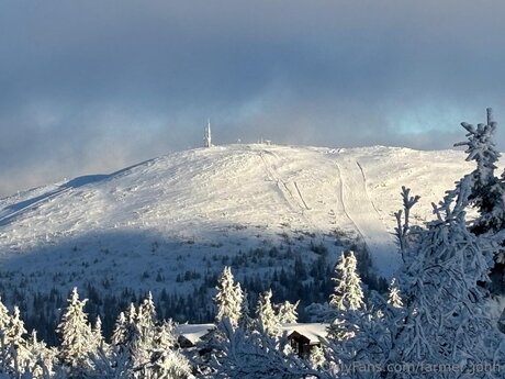 Farmer John model nudes pics