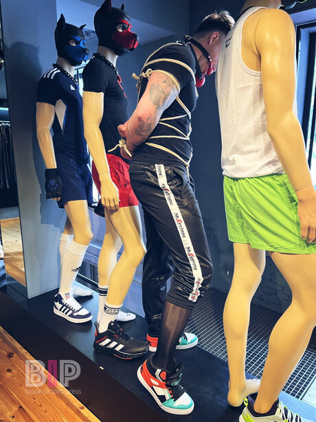 Boundinprogress art pornstar pics