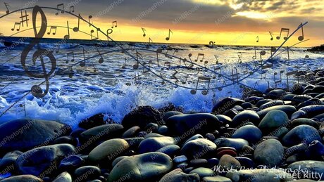 Sweetkitty777 sexy actress galleries