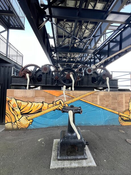 Tacomaarms nice star galleries