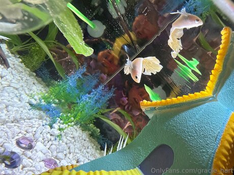 big tits riding onlyfans best pic