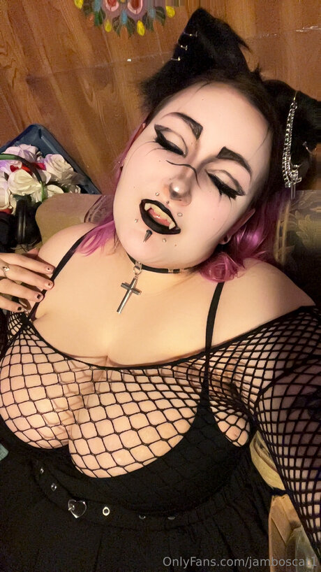 Jamboscat1 star high quality pictures