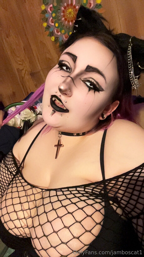 Jamboscat1 beautiful star pics