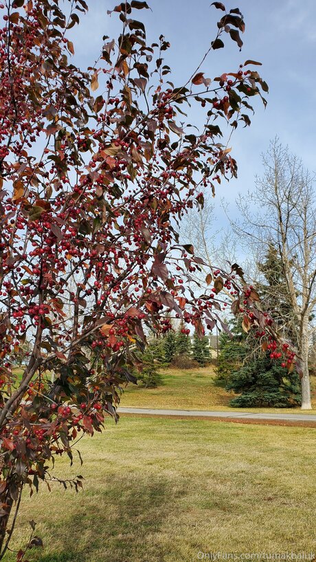 strawberry milk onlyfans free sex pictures