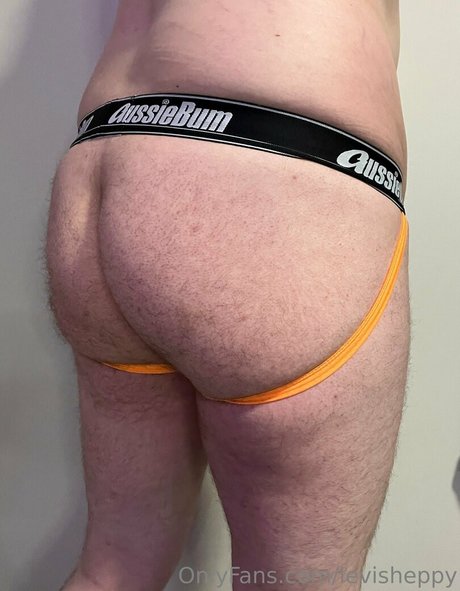 levisheppy star high quality img