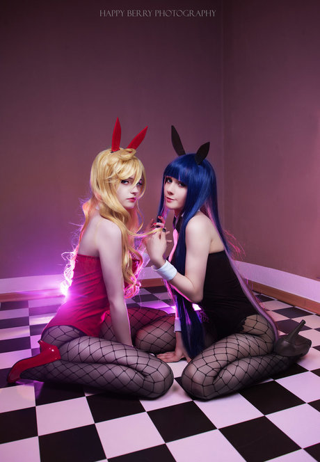 Smoettii star beautiful photos