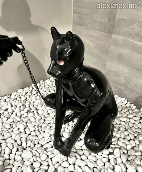 alexlatex mx pornographic star pics