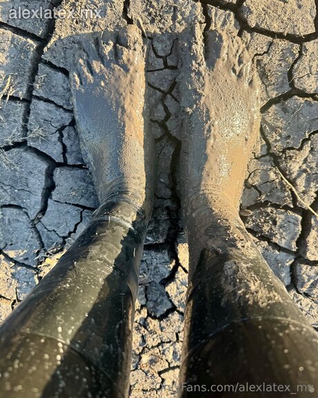 alexlatex mx xxx model galleries