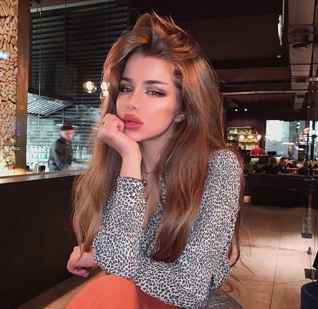 alexa stel art model img