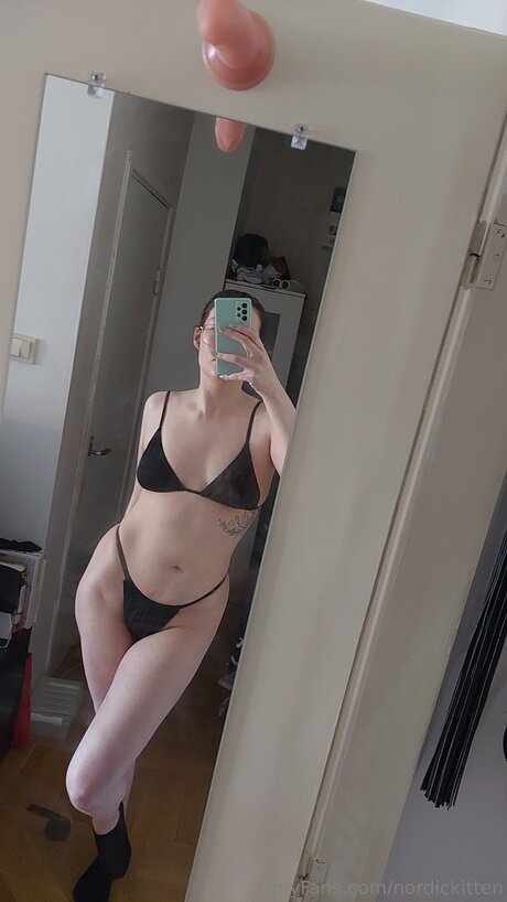 nordickitten model beautiful images