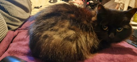 joebutnsfw star best photo