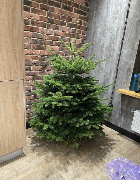 shower onlyfans hd pics