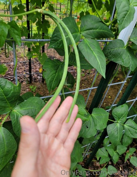 black granny onlyfans porn img