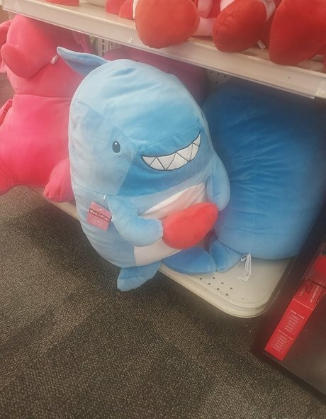 stellaaeternum Profile Photo