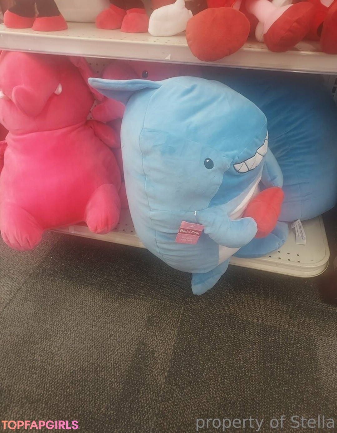 stellaaeternum model hot pictures